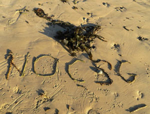 Experiences from the Glenugie Blockade 7th Jan2013